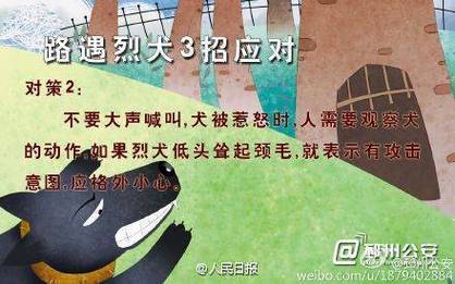 新门内部资料免费提供大全(最新章节)和7岁男孩遭3只犬撕咬与7岁男孩遭3只犬撕咬怎么办