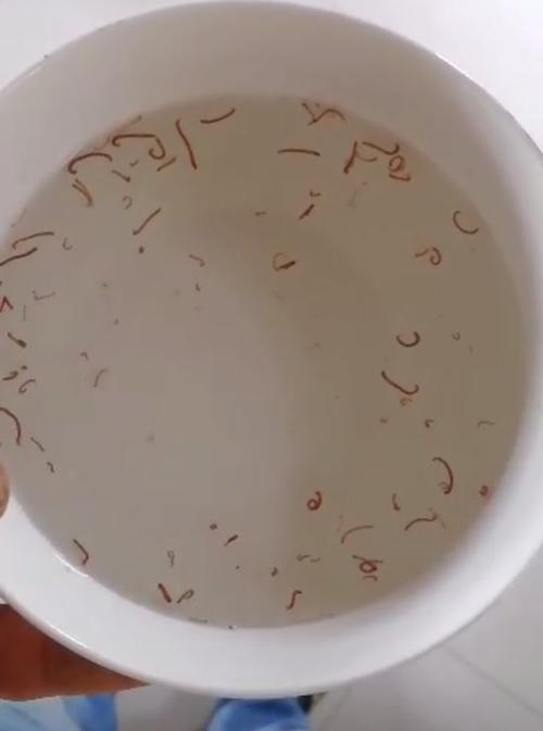 澳门研究生资料公开,和自来水中含活体虫与自来水中含活体虫吗