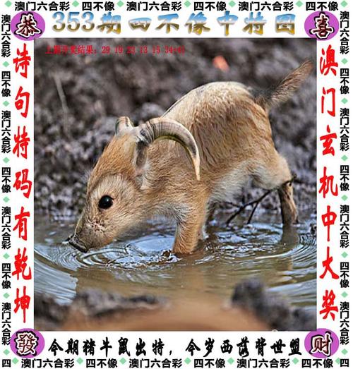 解决方案 第407页