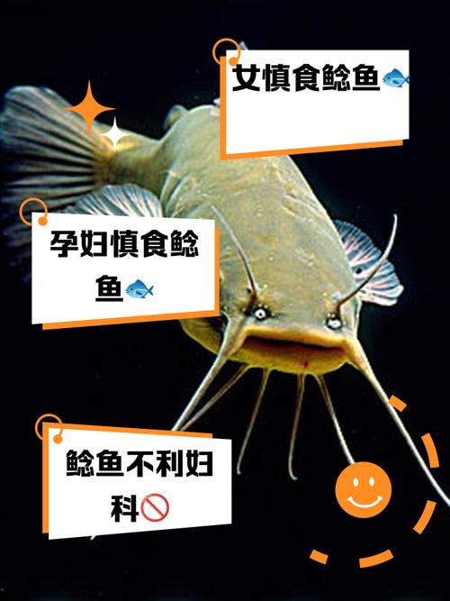 澳门研究生资料公开,和放生2.5万斤外来鲇鱼与放生鲇鱼的功德