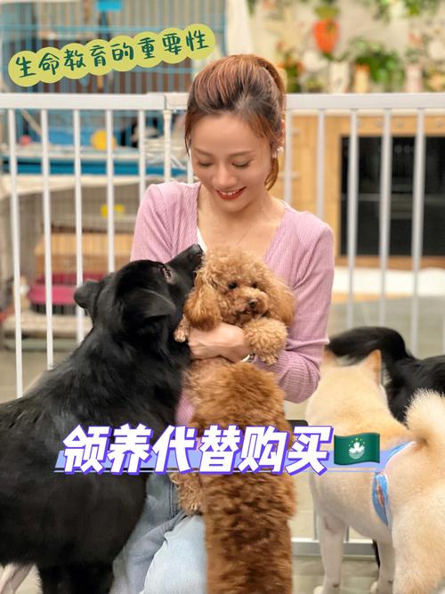 新澳门2025年正版免费和狗闯村民家咬伤女童与村里的狗咬人,应该找谁解决