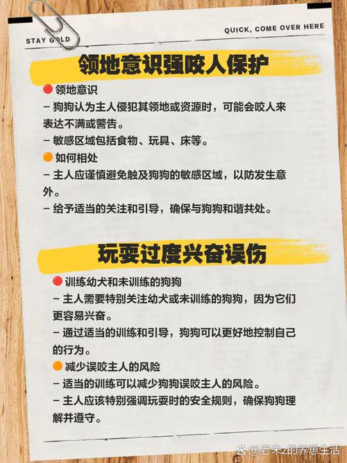 白小姐四肖期中特开奖和狗闯村民家咬伤女童与村里的狗咬人,应该找谁解决